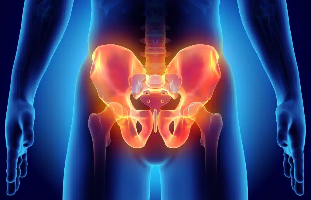 Hip Skeleton on blue background showing a pelvic pain region.
