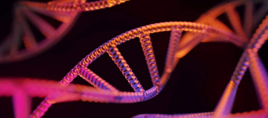 An image of a DNA double helix