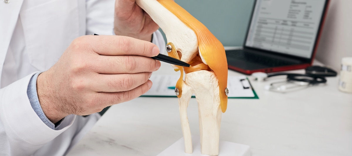 Pain Management Maryland-1 (4) A pain management doctor pointing to a knee joint on a skeleton model.