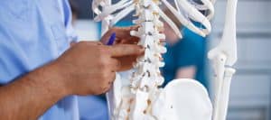 A doctor points to the spine on a model skeleton