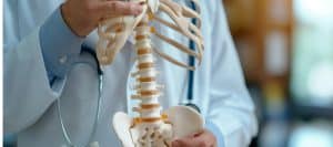 A doctor in a lab coat shows a model of the spinal cord as part of treatment for spinal stenosis